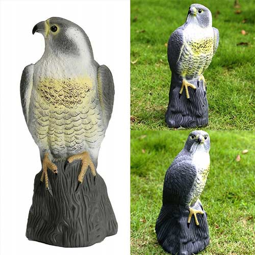 odstraszacze ptaków